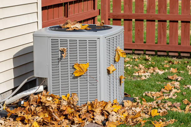 Best HVAC emergency services  in Ray City, GA